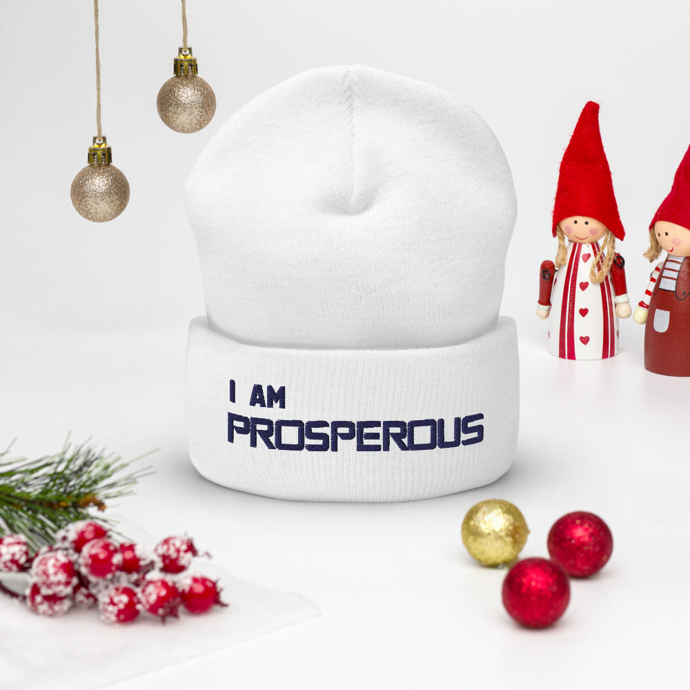 Motivational Beanie " I AM PROSPEROUS" Inspiring Law of Affirmation Embroidery Cuffed Beanie