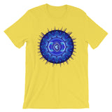 New Shiny Sun New Shiny Sun