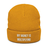 Inspirational Beanie "My Money is Multiplying" Ribbed knit beanie