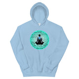 Chakra  Hoodie "I HAVE WHAT I NEED" Spiritual Healing Meditation Unisex Hoodie